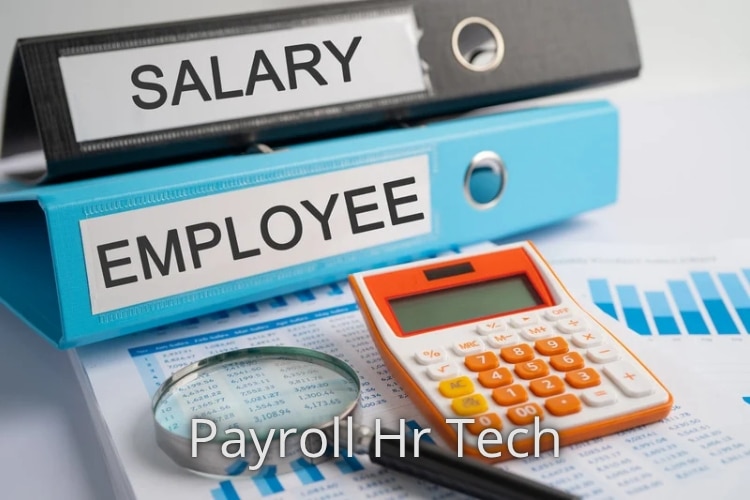 payroll and HR fintech tools on laptop for small business employee management